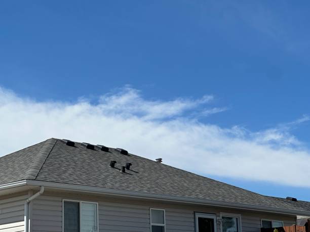 Best Roof Moss and Algae Removal  in Thiells, NY